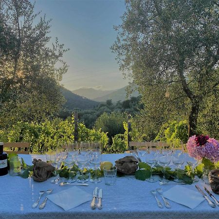 Tenuta Di Tramonte Boutique Hotel Лукка Экстерьер фото